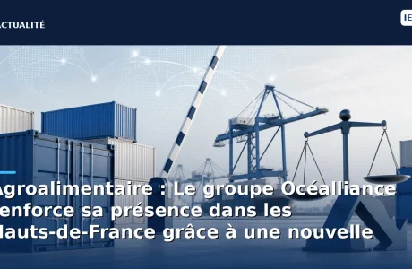 Agroalimentaire : Le groupe Océalliance renforce sa présence dans les Hauts-de-France grâce à une nouvelle acquisition