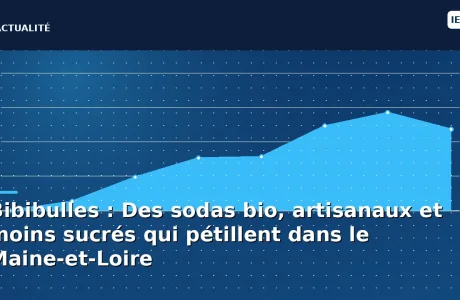 Bibibulles : Des sodas bio, artisanaux et moins sucrés qui pétillent dans le Maine-et-Loire