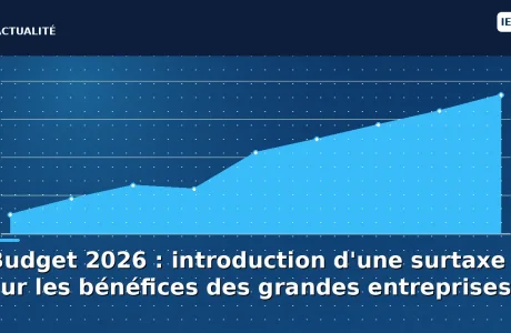 Budget 2026 : introduction d'une surtaxe sur les bénéfices des grandes entreprises
