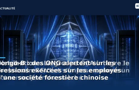 Congo-B : des ONG alertent sur les pressions exercées sur les employés d’une société forestière chinoise
