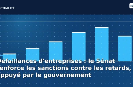 Défaillances d'entreprises : le Sénat renforce les sanctions contre les retards, appuyé par le gouvernement