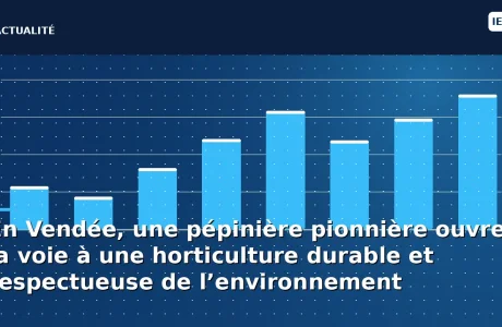 En Vendée, une pépinière pionnière ouvre la voie à une horticulture durable et respectueuse de l’environnement