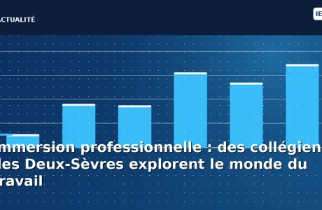 Immersion professionnelle : des collégiens des Deux-Sèvres explorent le monde du travail