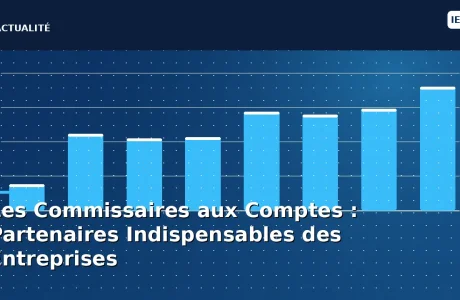 Les Commissaires aux Comptes : Partenaires Indispensables des Entreprises