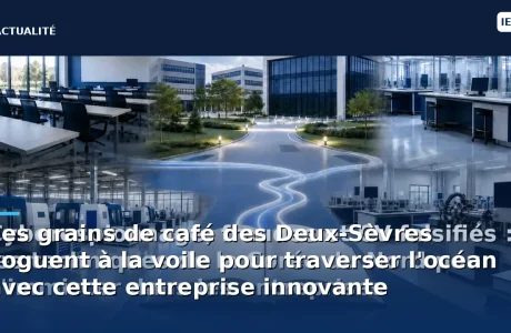 Les grains de café des Deux-Sèvres voguent à la voile pour traverser l'océan avec cette entreprise innovante