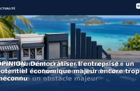 OPINION. Démocratiser l’entreprise : un potentiel économique majeur encore trop méconnu