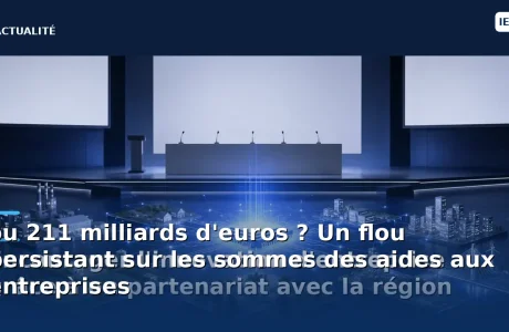 découvrez les tenants et aboutissants des 211 milliards d'euros d'aides aux entreprises en france. cet article explore le flou persistant autour de ces sommes, analysant les enjeux économiques et les implications pour les acteurs du marché.