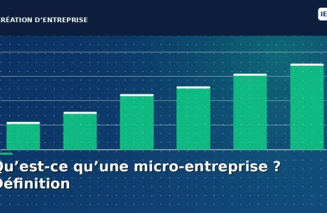 micro entreprise definition