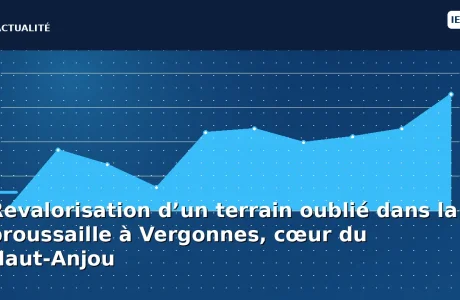 Revalorisation d’un terrain oublié dans la broussaille à Vergonnes, cœur du Haut-Anjou