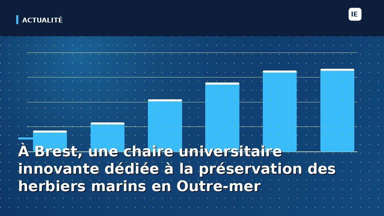 À Brest, une chaire universitaire innovante dédiée à la préservation des herbiers marins en Outre-mer