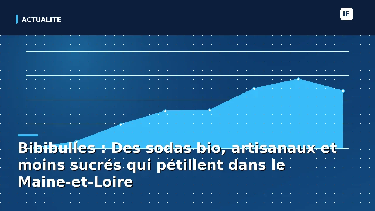 Bibibulles : Des sodas bio, artisanaux et moins sucrés qui pétillent dans le Maine-et-Loire