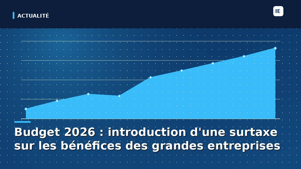 Budget 2026 : introduction d'une surtaxe sur les bénéfices des grandes entreprises