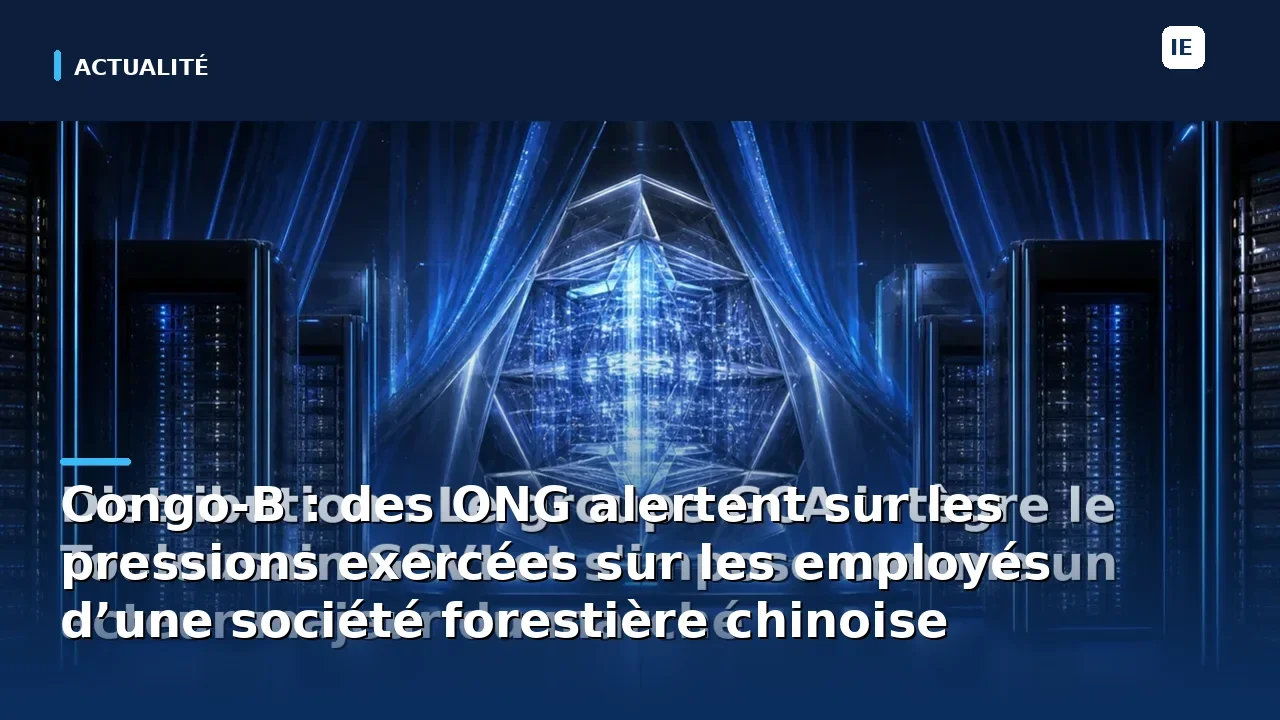 Congo-B : des ONG alertent sur les pressions exercées sur les employés d’une société forestière chinoise