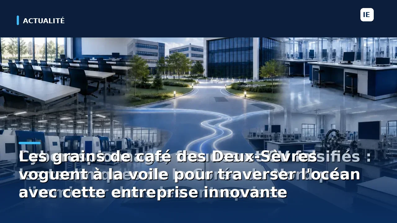 Les grains de café des Deux-Sèvres voguent à la voile pour traverser l'océan avec cette entreprise innovante
