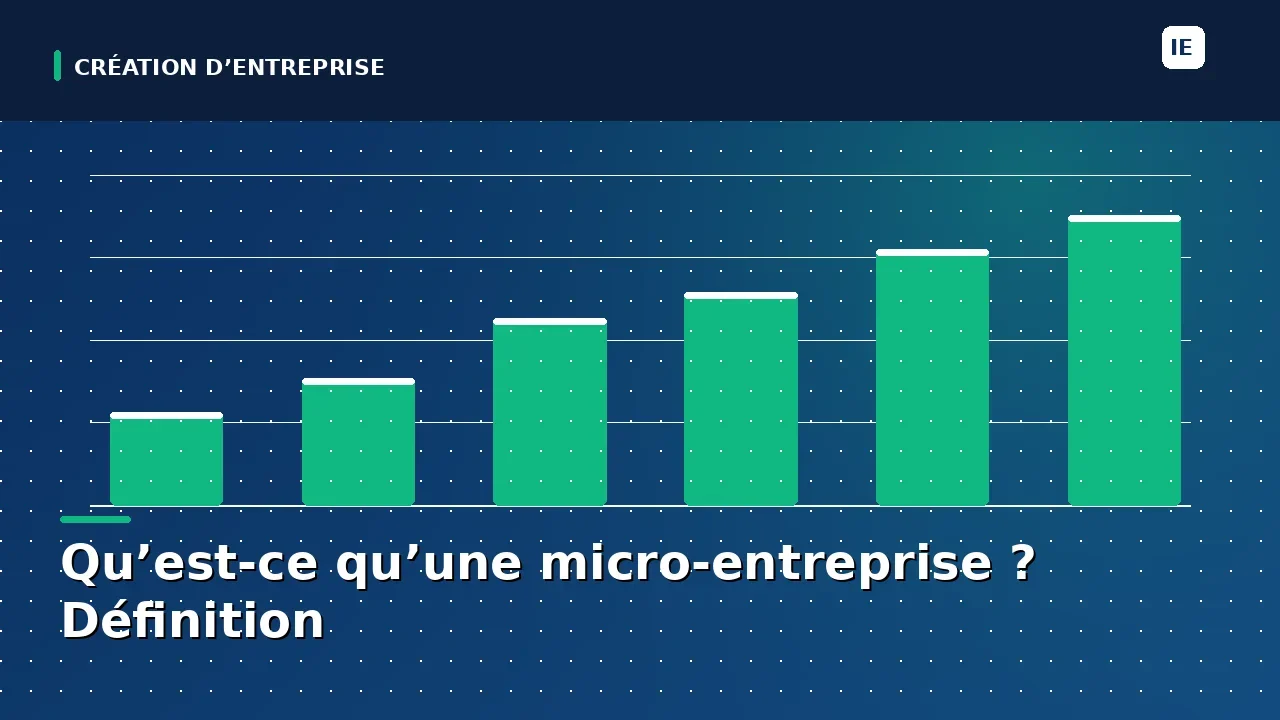 micro entreprise definition