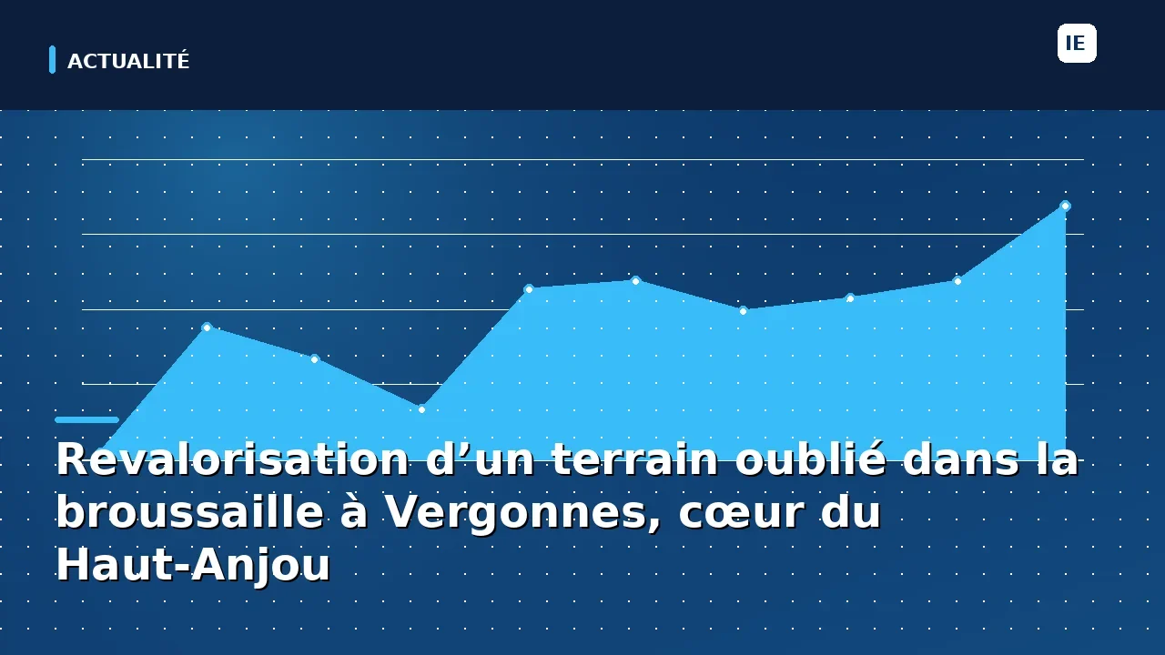 Revalorisation d’un terrain oublié dans la broussaille à Vergonnes, cœur du Haut-Anjou